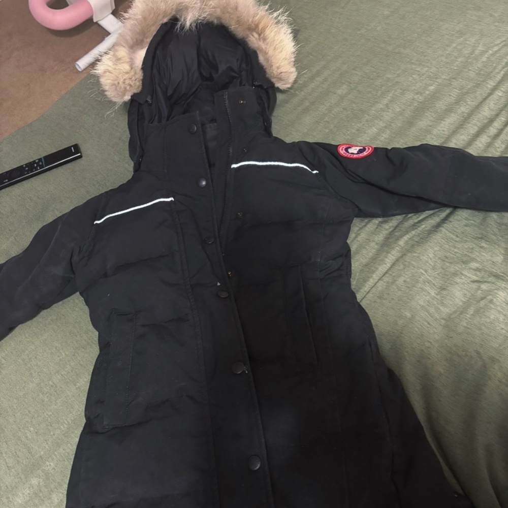 Canada Goose